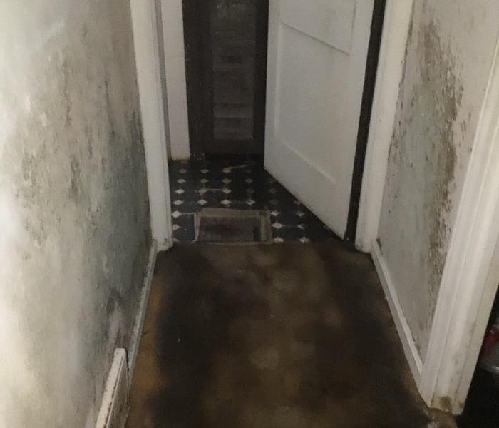 Hallway with standing dirty water and mold on walls 