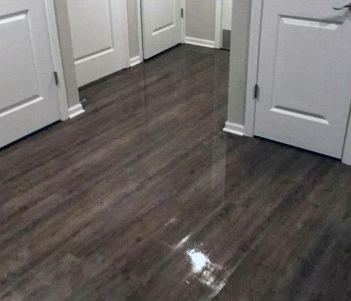 Water covered gray hardwood floor 