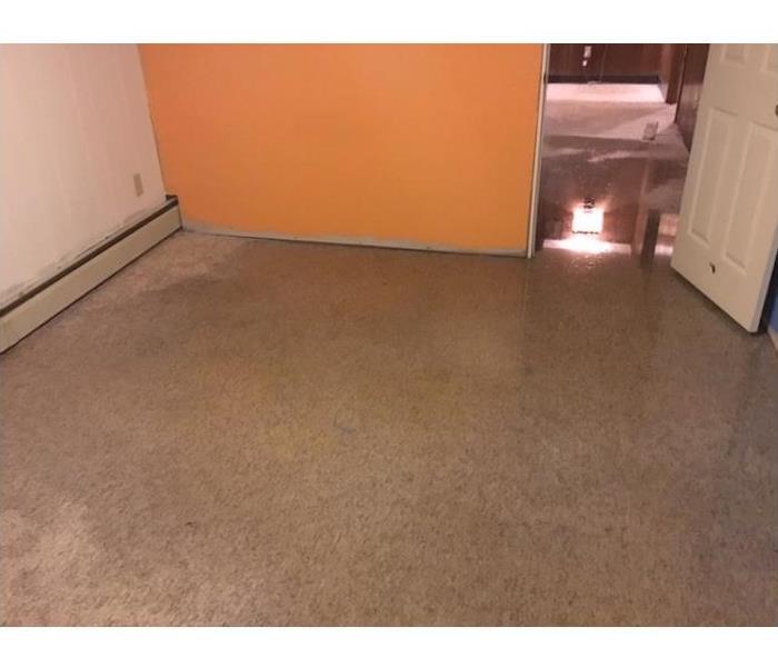 Basement with standing water 