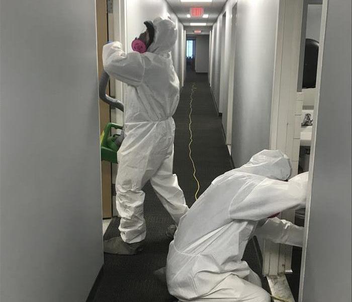 tech in tyvek suit mold removal